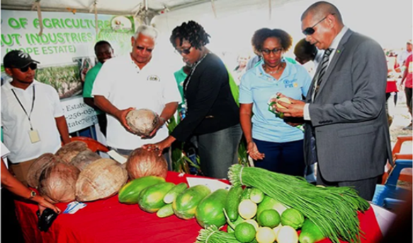 iica-participates-in-the-world-food-day-activities-at-la-bonne